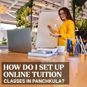 How do I set up online tuition classes In Panchkula?